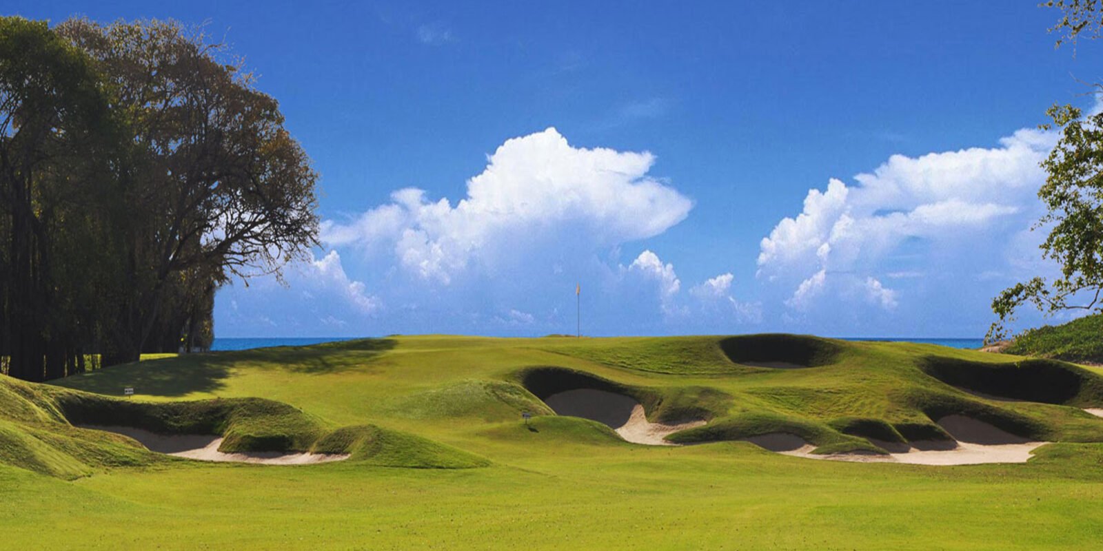 Las Parotas Club de Golf