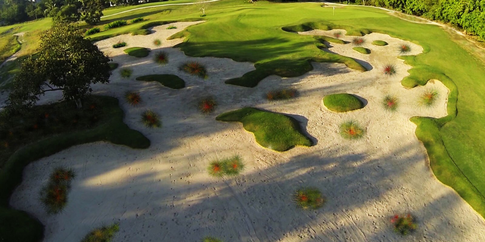 Las Parotas Club de Golf