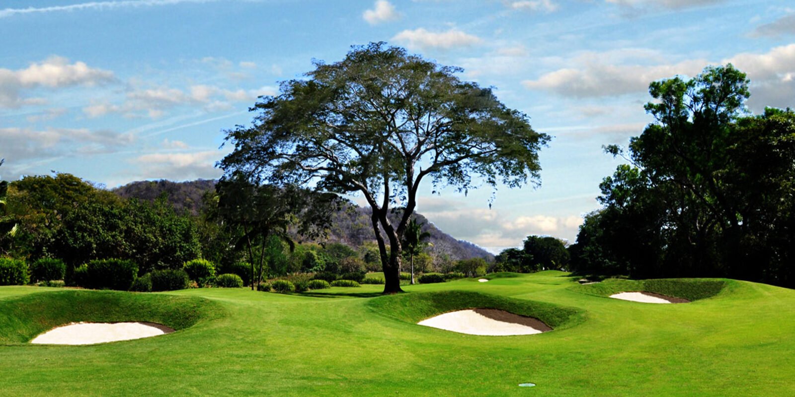 Las Parotas Club de Golf
