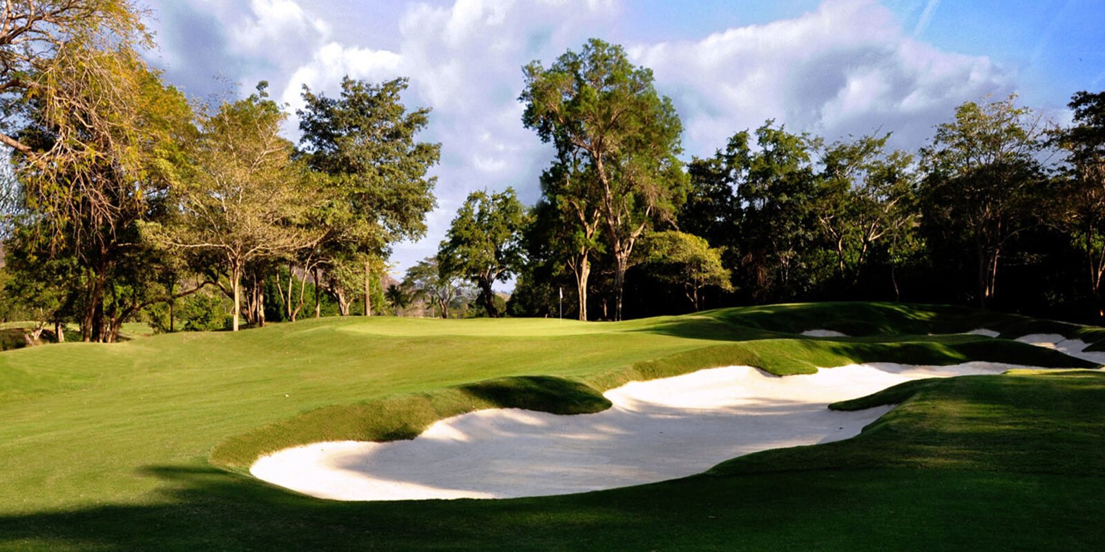 Las Parotas Club de Golf