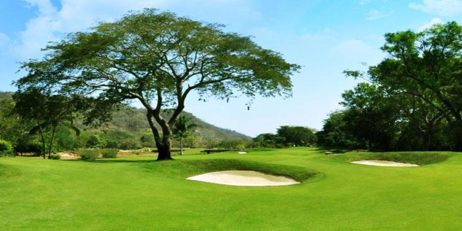 Las Parotas Club de Golf
