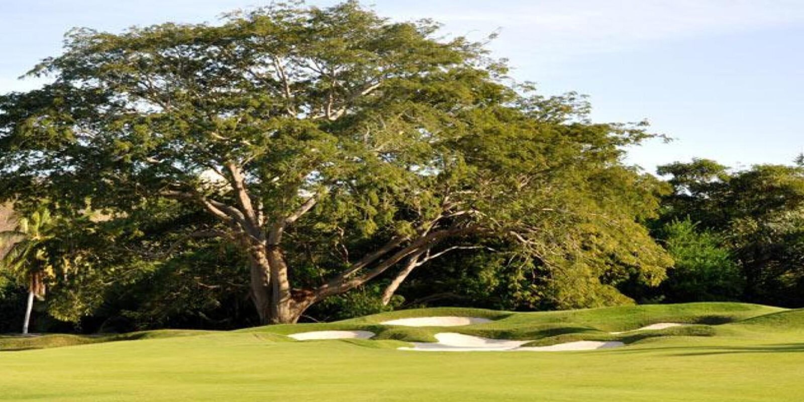 Las Parotas Club de Golf