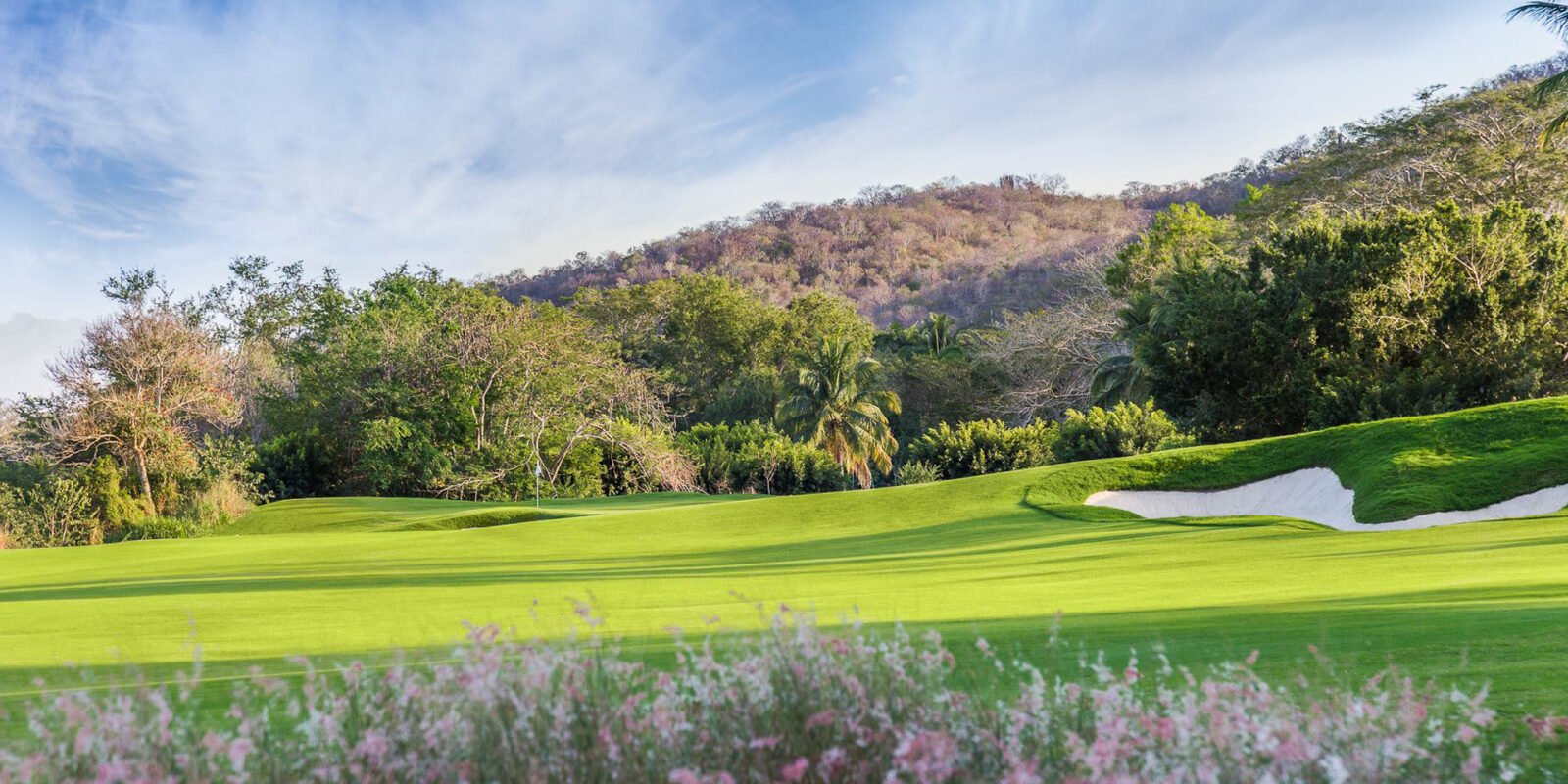 Las Parotas Club de Golf