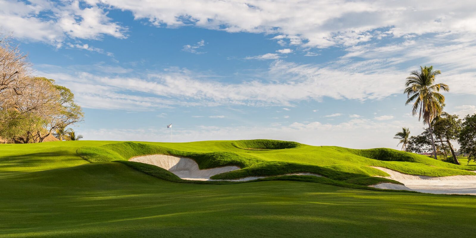 Las Parotas Club de Golf
