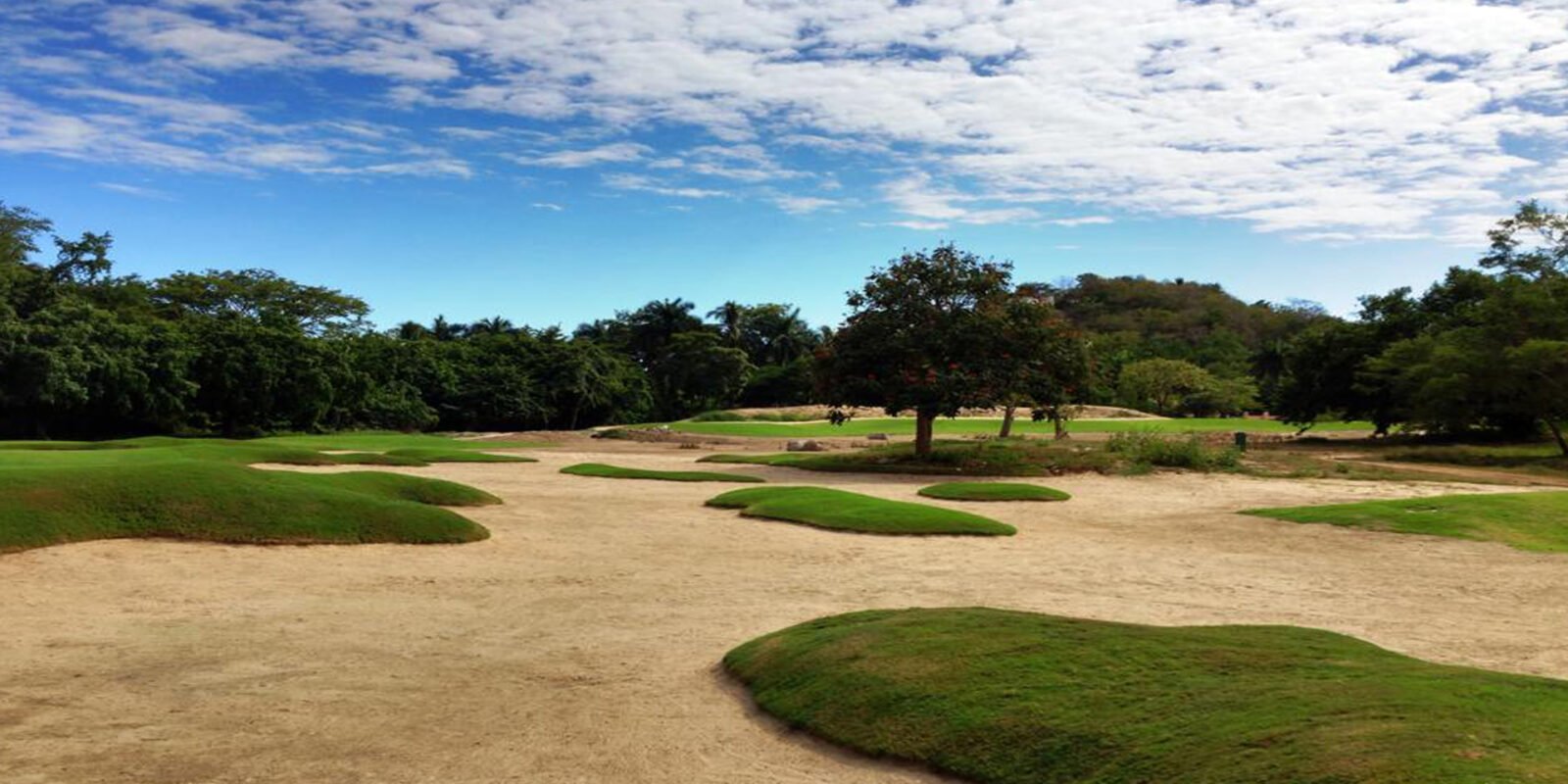Las Parotas Club de Golf