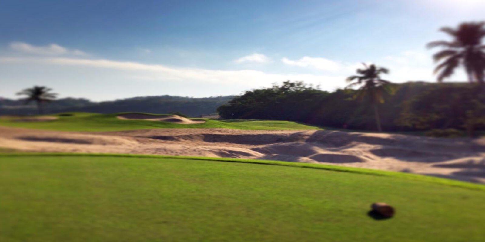 Las Parotas Club de Golf